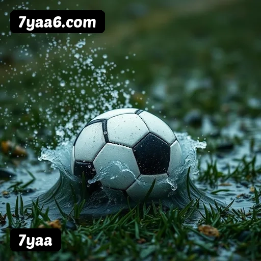 Comparação APP mobile vs versão web da 7yaa