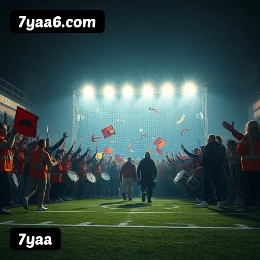 Estatísticas de bônus da 7yaa em São Paulo, Rio de Janeiro e Brasília