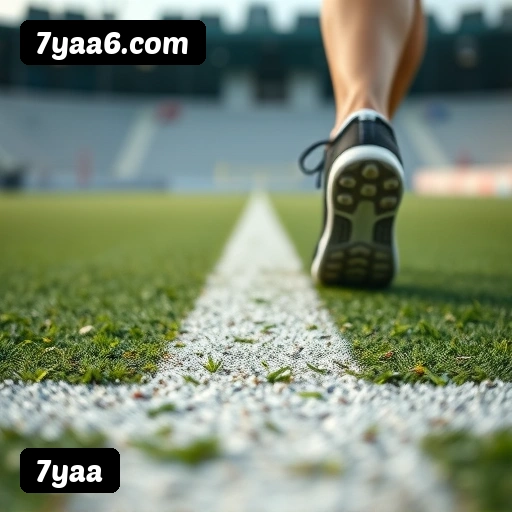 Grandes vencedores 7yaa de São Paulo, Rio de Janeiro, Belo Horizonte - Saques PIX confirmados