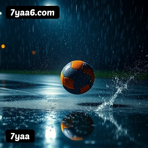 Níveis do programa VIP da 7yaa